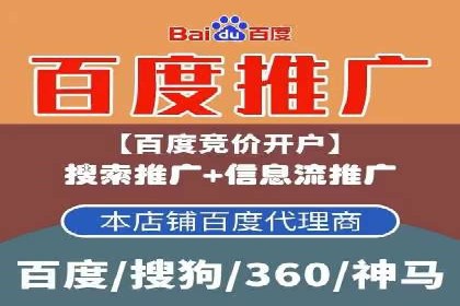 SEM运营公司案例解析：精准广告投放技巧